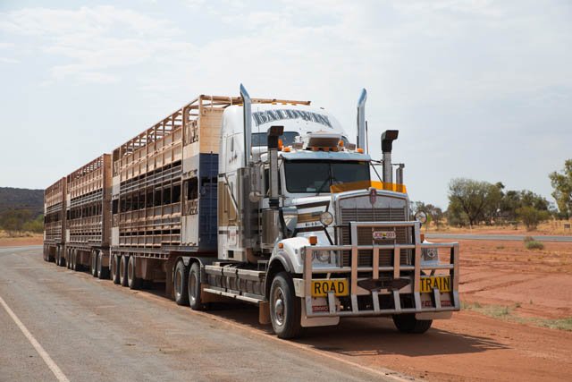 Business loan broker reviewing financial documents to secure competitive funding