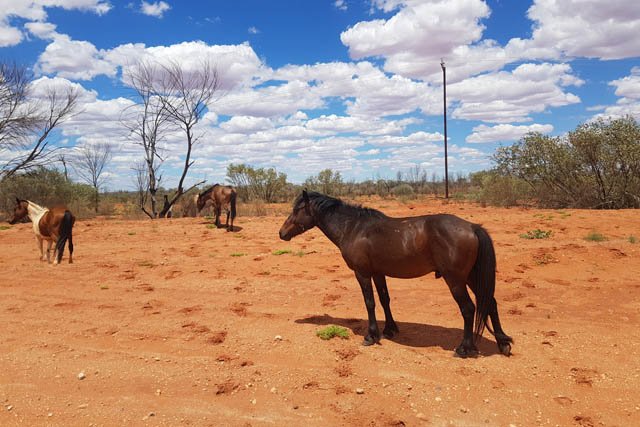 Acreage and Agribusiness Loans