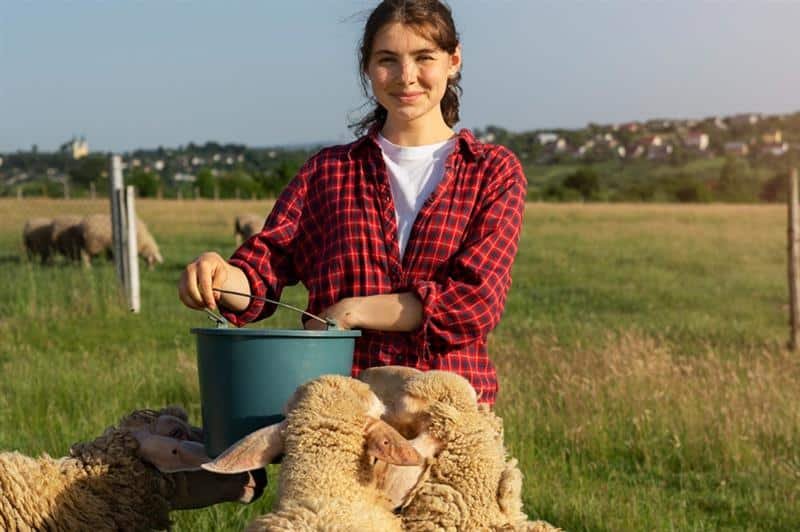 Acreage and Agribusiness Loans Acreage and Agribusiness Loans